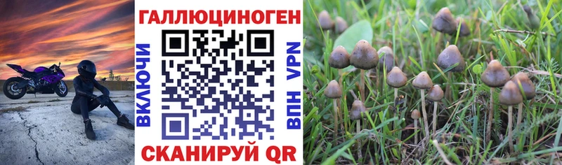купить закладку  Кропоткин  blacksprut tor  Псилоцибиновые грибы GOLDEN TEACHER 